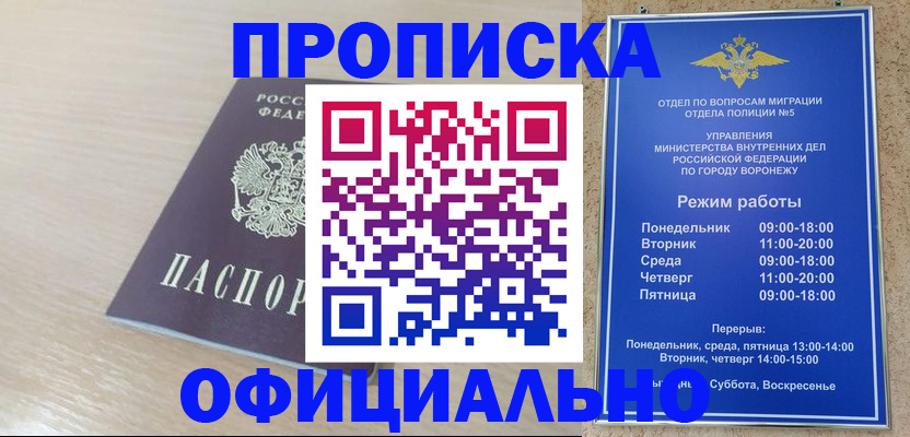 прописка в квартире в Большом Камне
